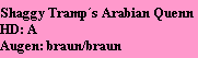 Shaggy Tramps Arabian Quenn
HD: A
Augen: braun/braun